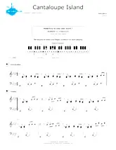 download the accordion score Cantaloupe island (Niveau 1) in PDF format